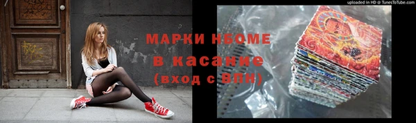 амф Осташков